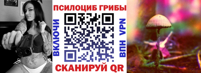 Псилоцибиновые грибы мицелий хочу наркоту Карпинск